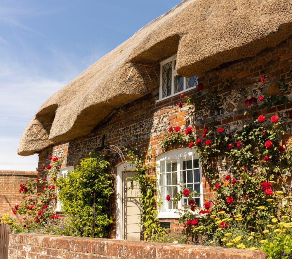 Rose covered thatched cottage