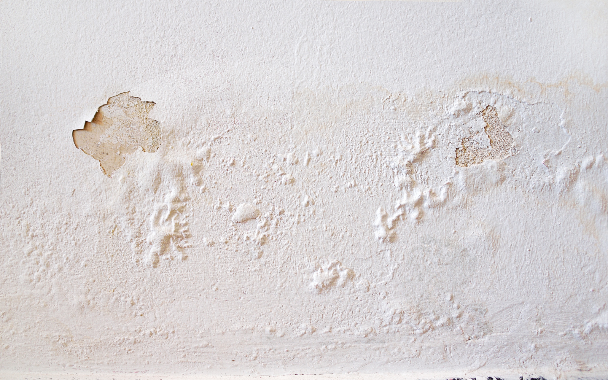 Damp walls in a listed property can affect the historic homes’ energy efficiency