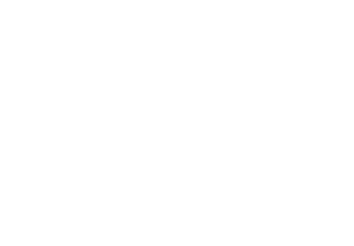 Lark music logo