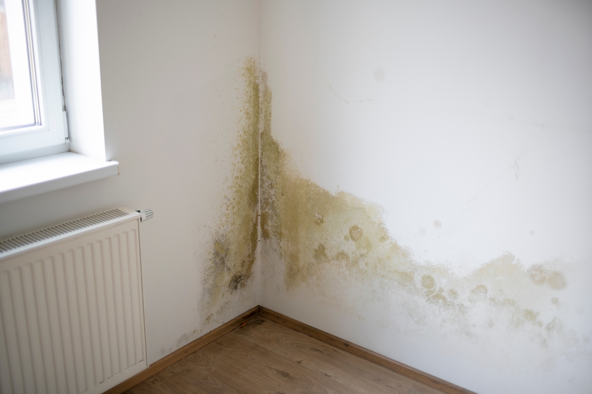Damp on inside wall of listed property