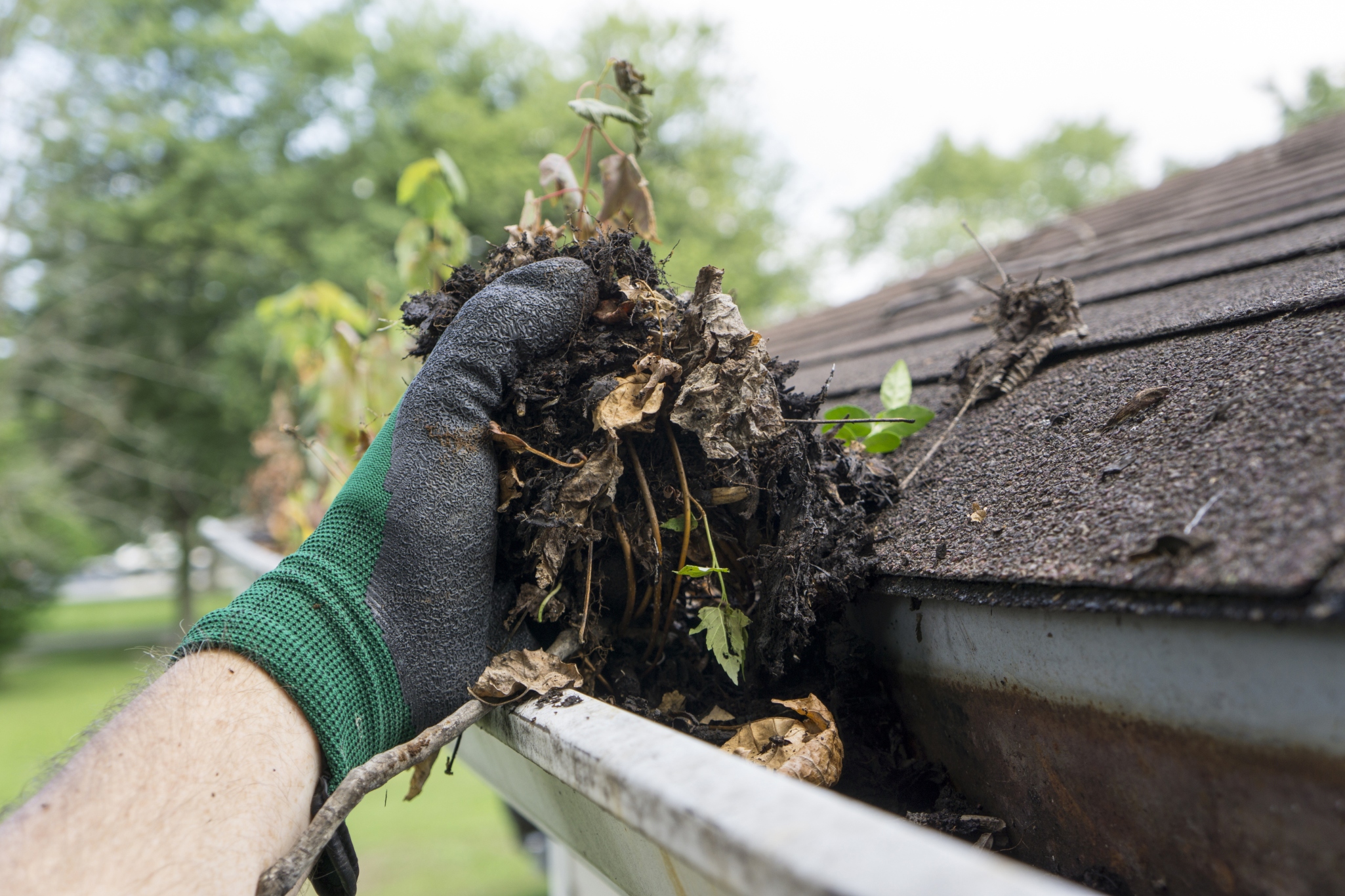 Clearing gutters to protect your listed property