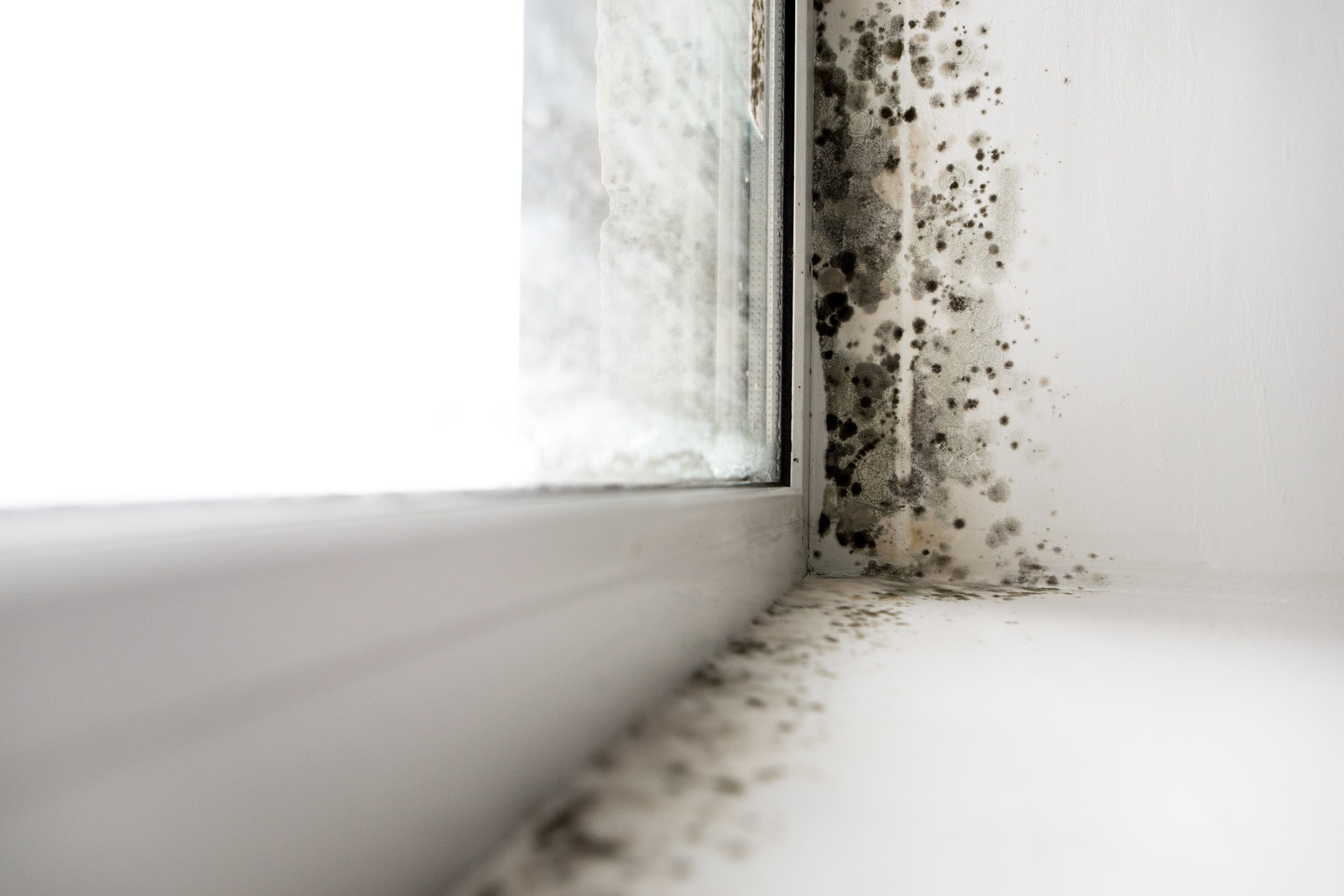 Mould and condensation near window